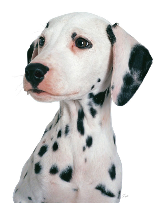 photorealistic-vector-art-23