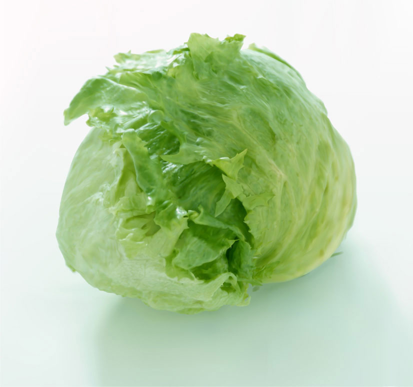 photorealistic-vector-art-25