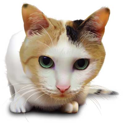 photorealistic-vector-art-31