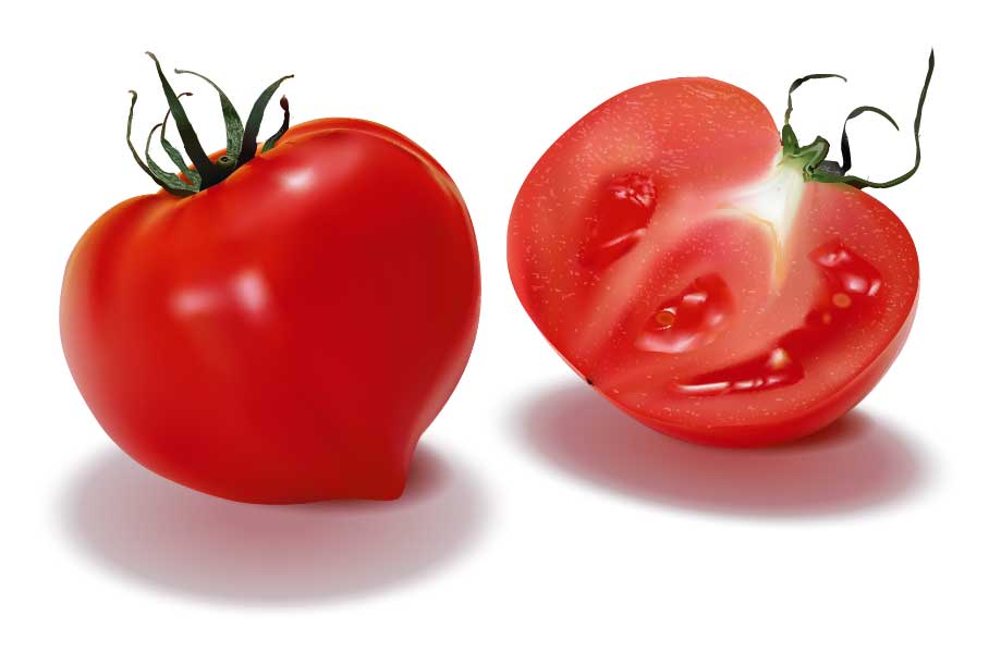 photorealistic-vector-art-33