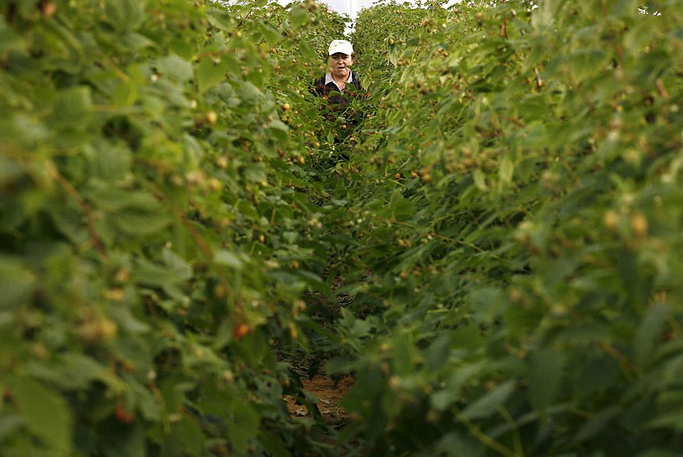 prikolnie-fotki-280209-05