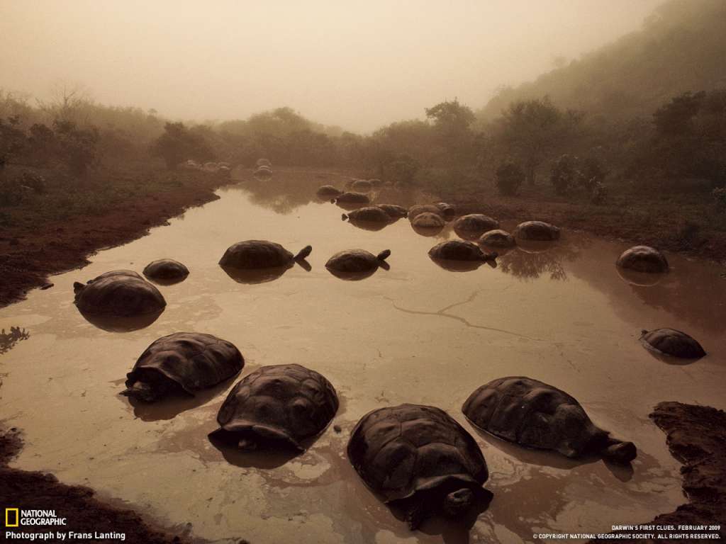 prikolnie-fotki-280209-06