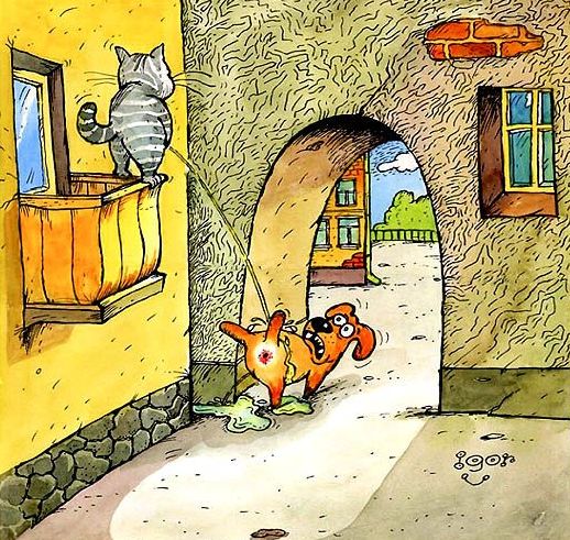 prikolnie-fotki-280209-07