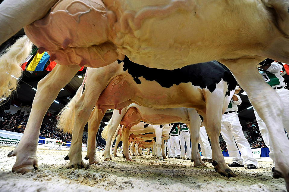 prikolnie-fotki-280209-24