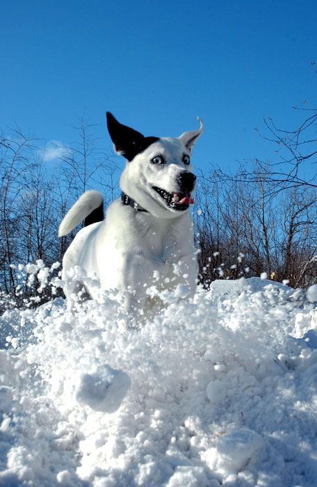 prikolnie-fotki-280209-29