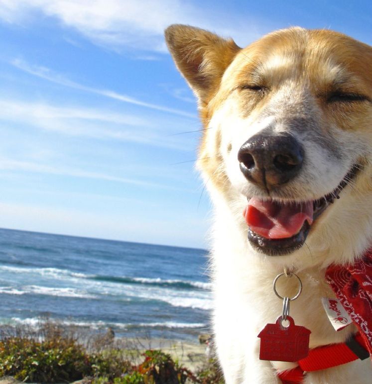 prikolnie-fotki-280209-37