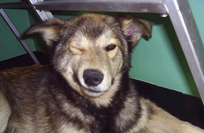 prikolnie-fotki-280209-46