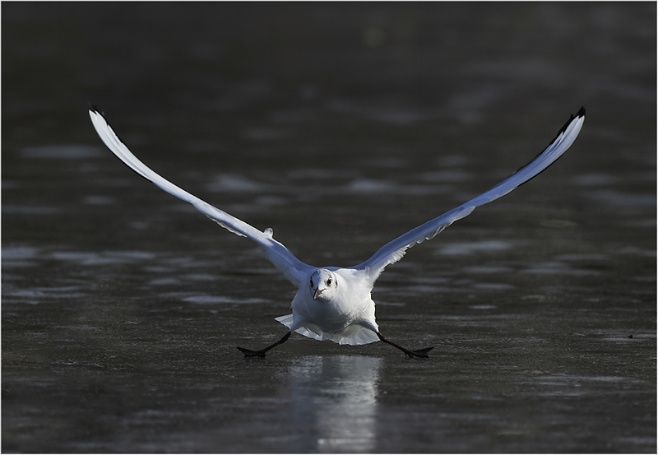 prikolnie-fotki-280209-67