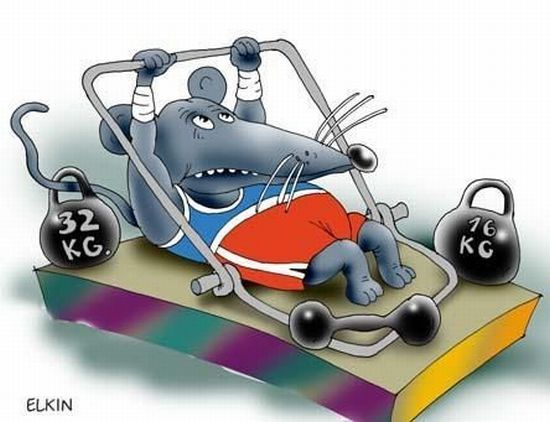 prikolnie-fotki-280209-69