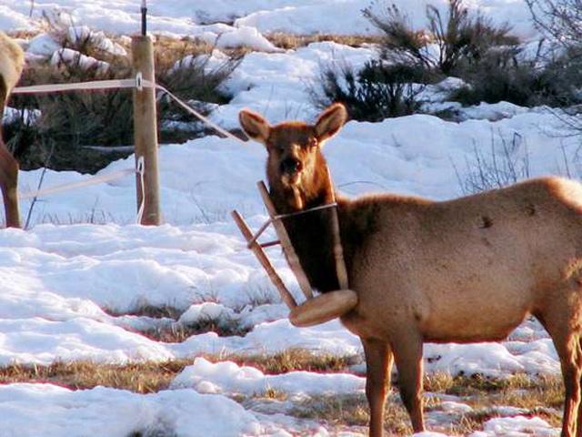 prikolnie-fotki-280209-75