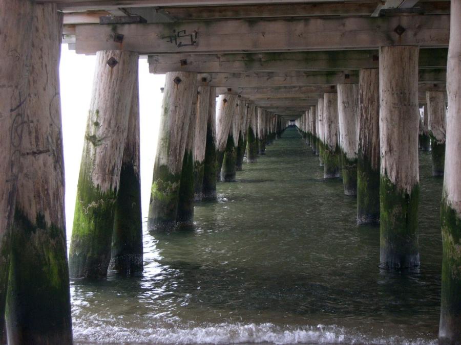 prikolnie-fotki-280209-78