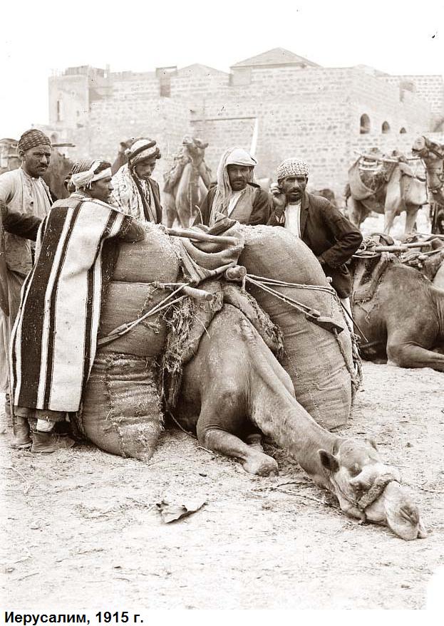 prikolnie-foto-130209-02