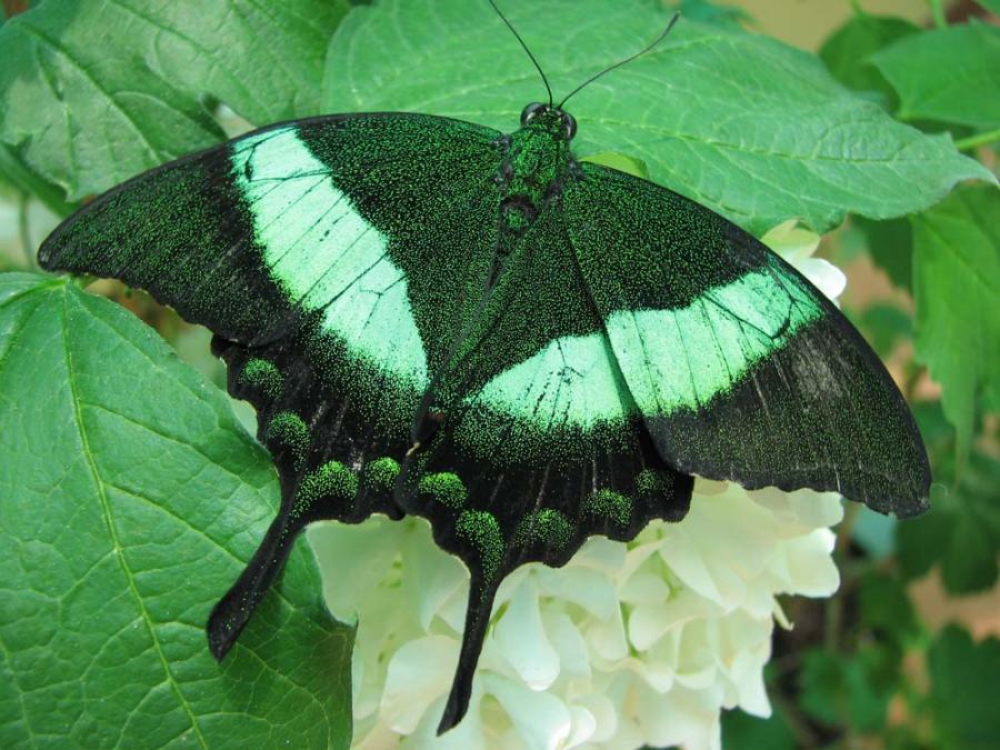 prikolnie-foto-130209-08