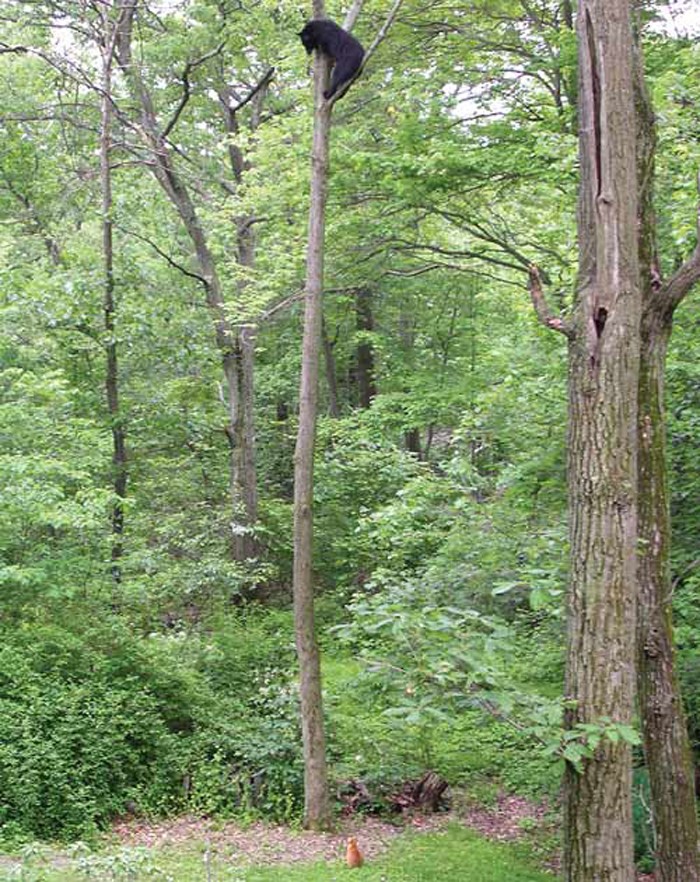 prikolnie-foto-130209-21