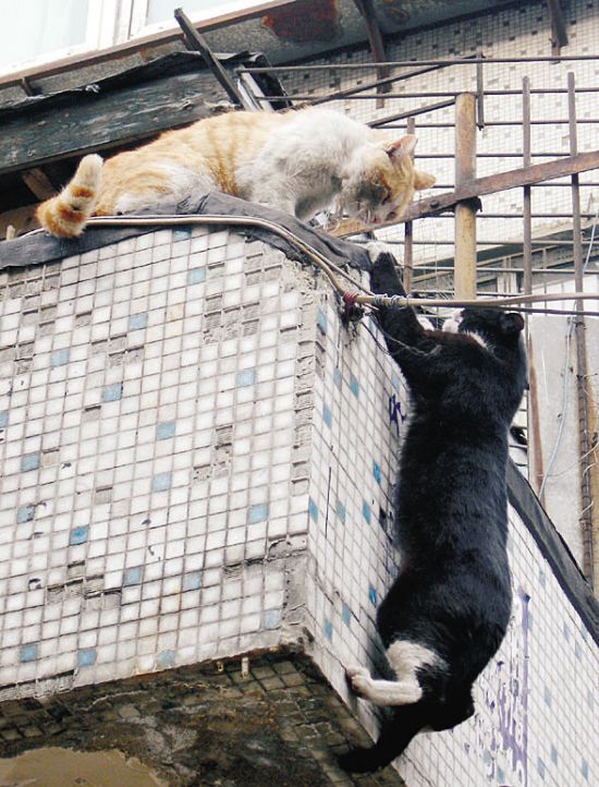 prikolnie-foto-130209-22