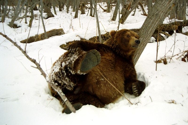 prikolnie-foto-130209-24