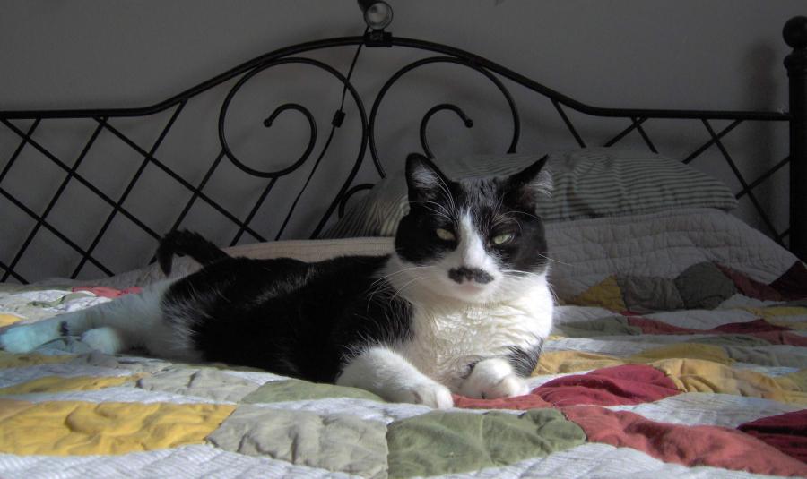 prikolnie-foto-130209-25