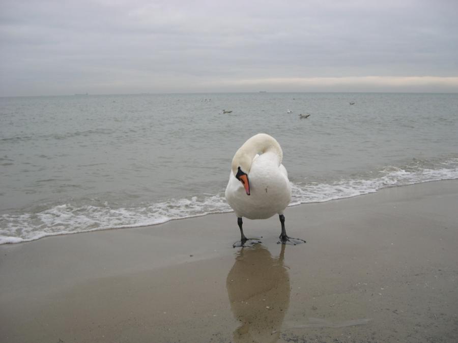 prikolnie-foto-130209-28