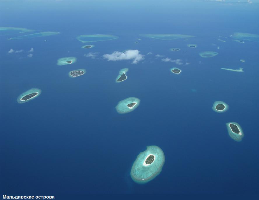 prikolnie-foto-130209-33