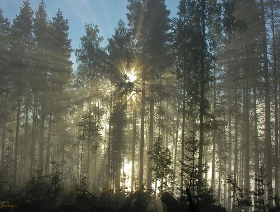 prikolnie-foto-130209-37