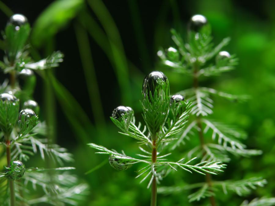 prikolnie-foto-130209-40