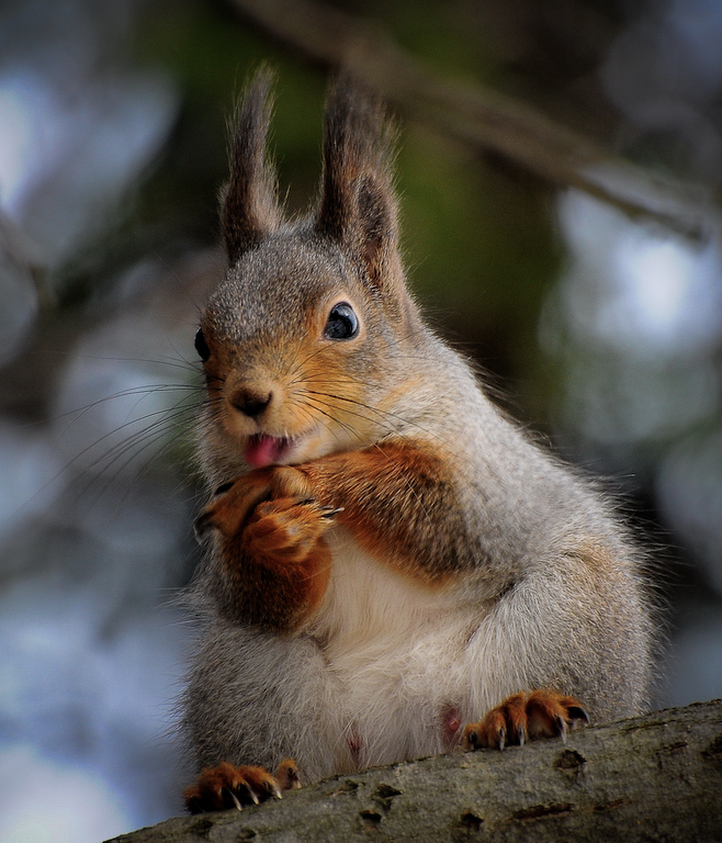 prikolnie-foto-130209-43