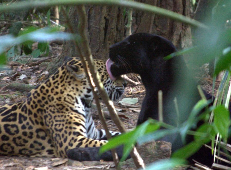 prikolnie-foto-130209-47