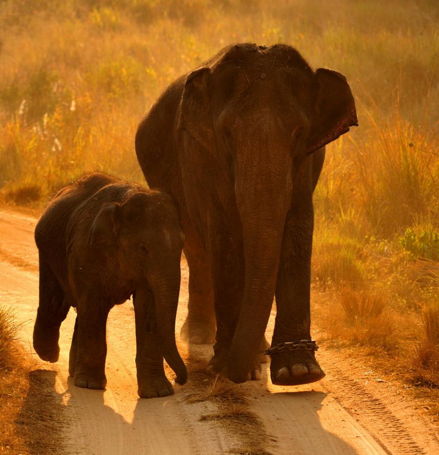 prikolnie-foto-130209-64