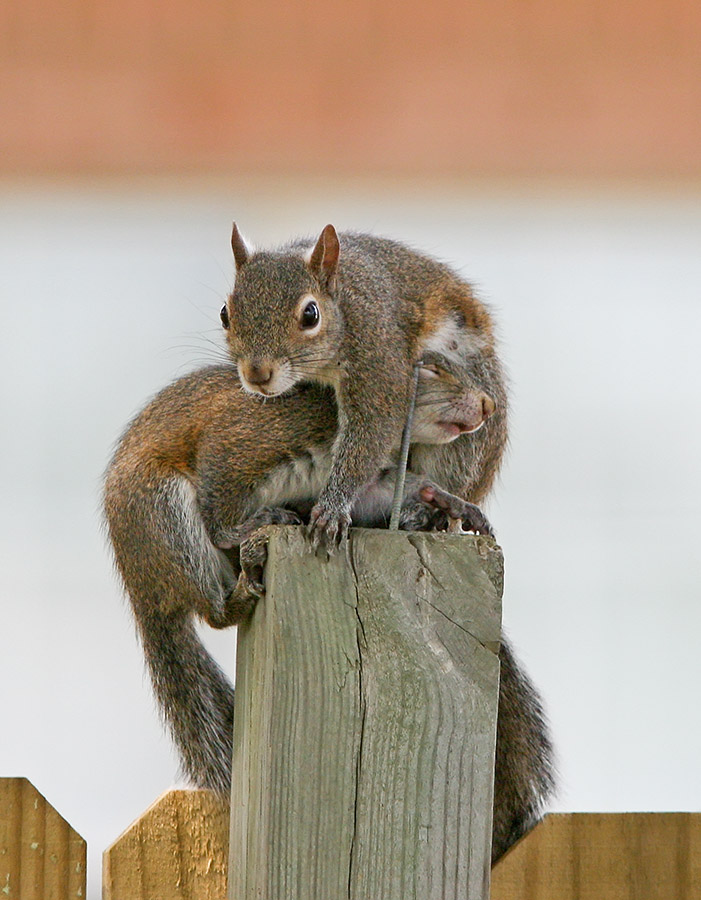 prikolnie-foto-130209-67