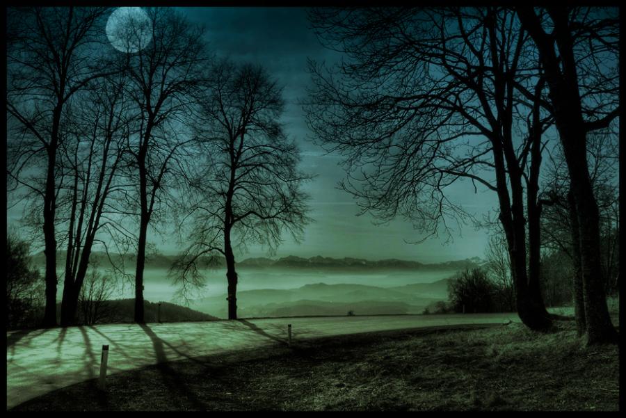 prikolnie-foto-130209-71