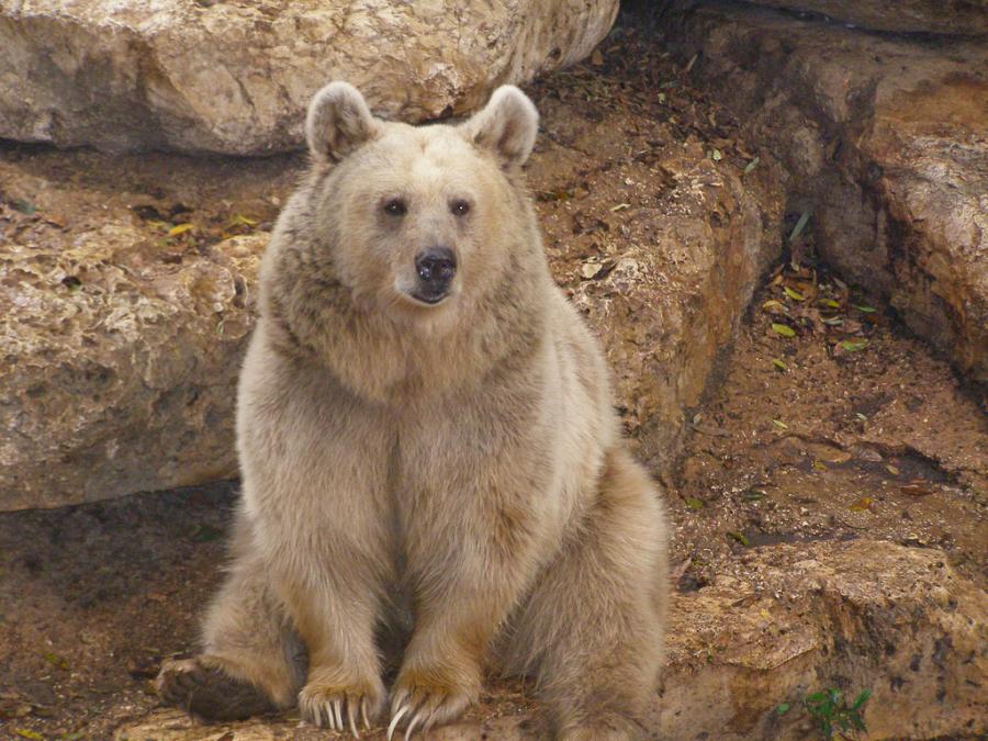 prikolnie-foto-130209-72