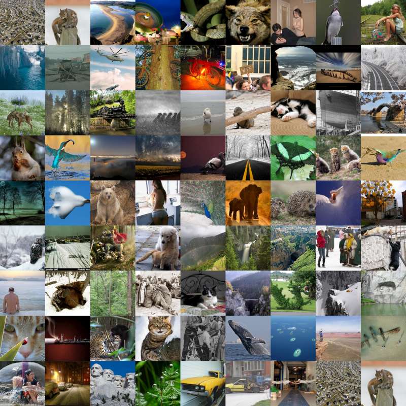 prikolnie-foto-130209-81