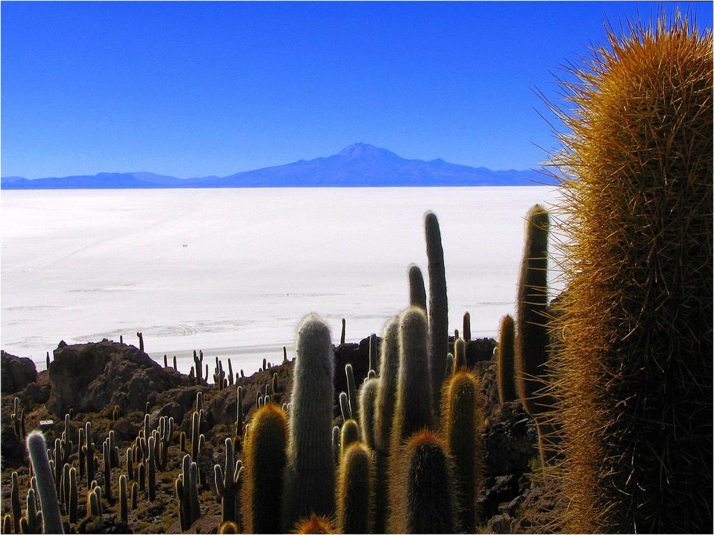 salar-de-uyuni-biggest-mirror-10