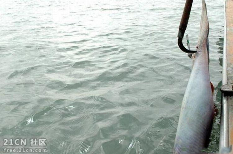 things-inside-stingray-01