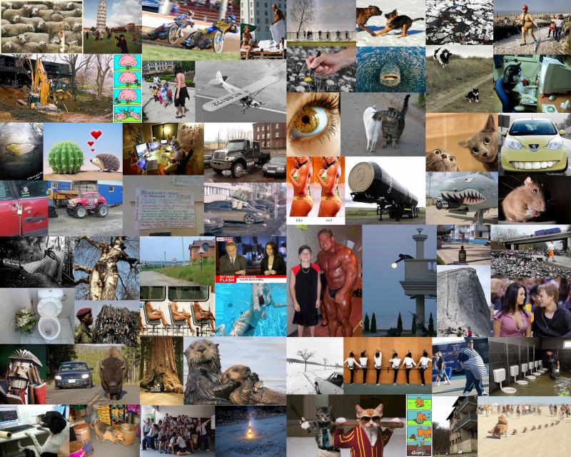 foto-prikoly-210309-64