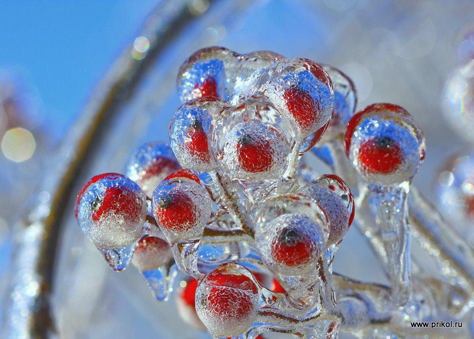 lednikoviy-period-02