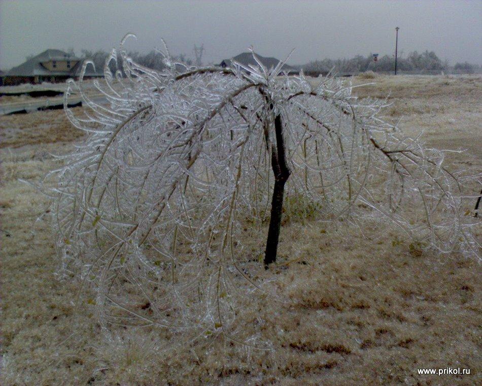 lednikoviy-period-03