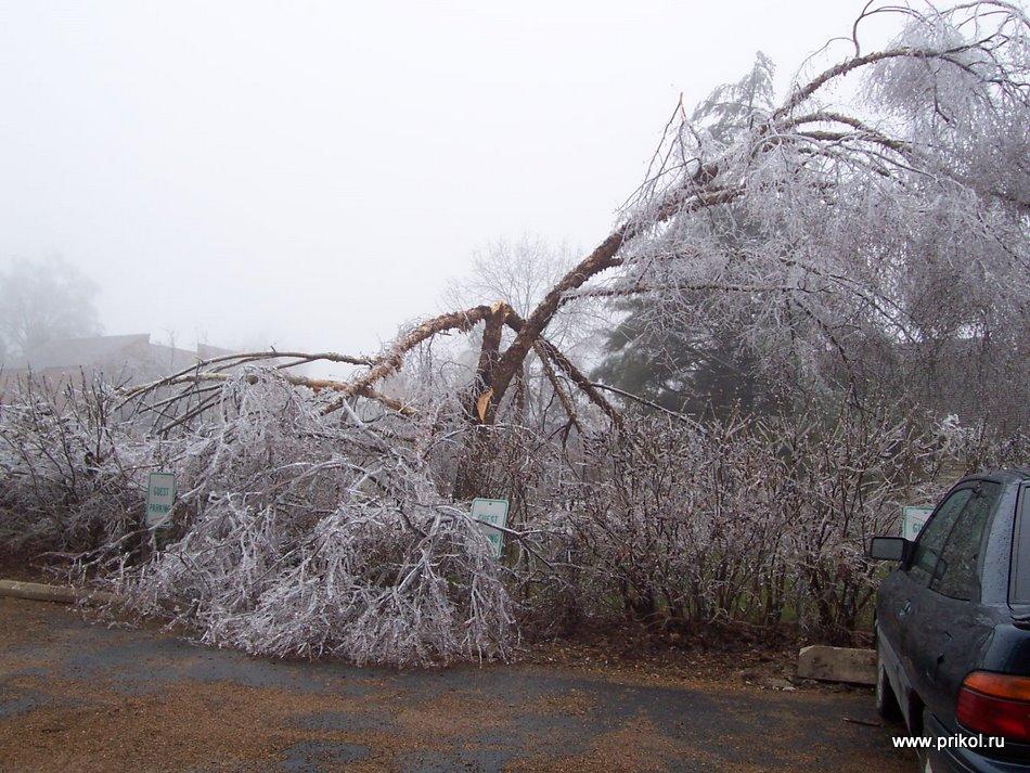 lednikoviy-period-04