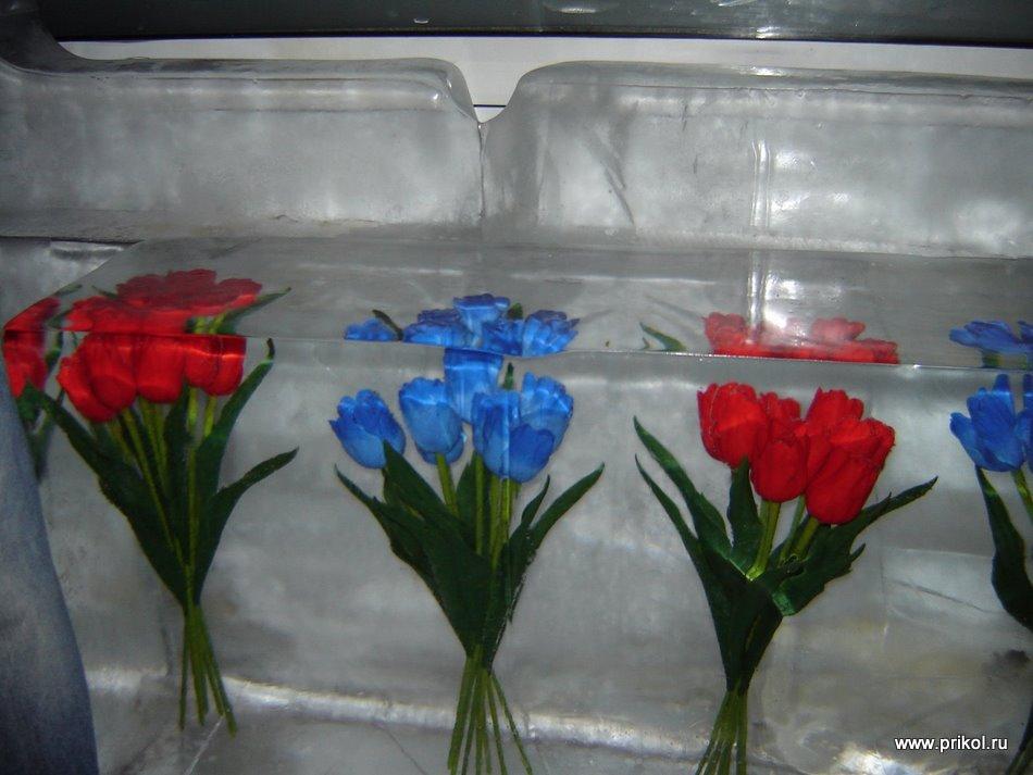 lednikoviy-period-05