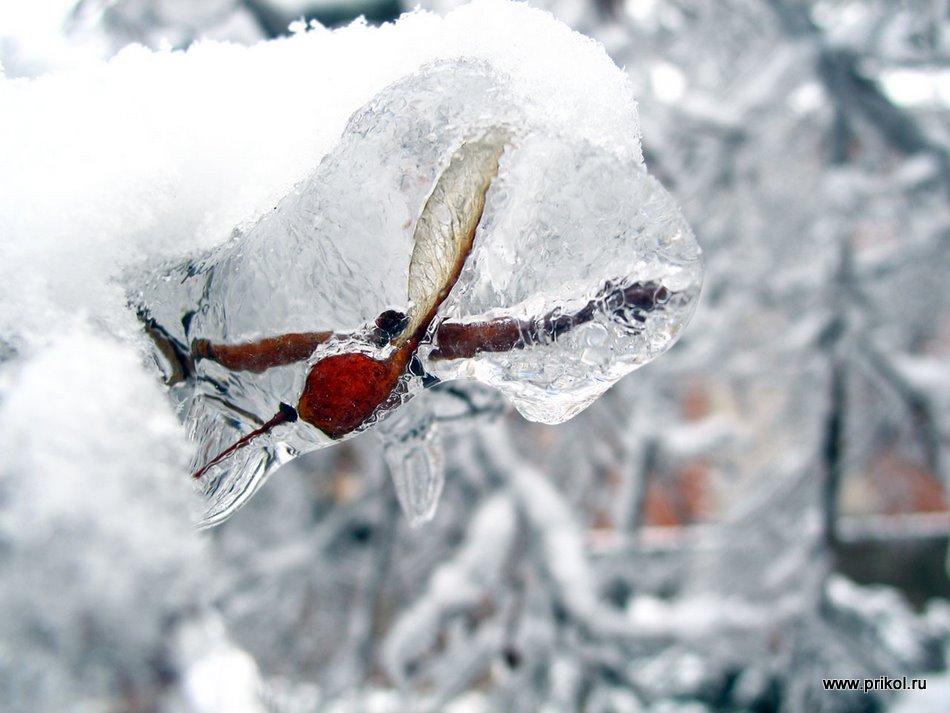 lednikoviy-period-07