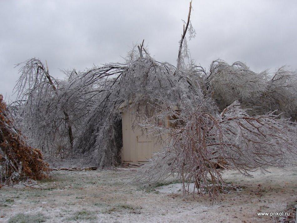 lednikoviy-period-11