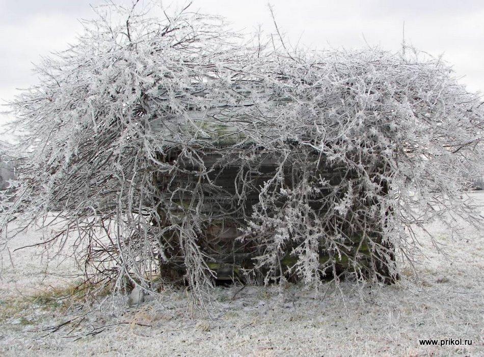 lednikoviy-period-14