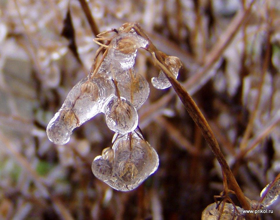 lednikoviy-period-15