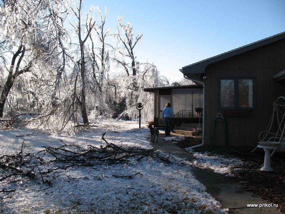 lednikoviy-period-22