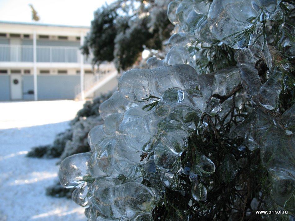 lednikoviy-period-24