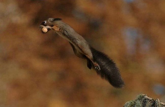 lovi-moment-040309-04