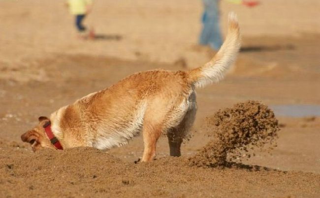 lovi-moment-040309-07