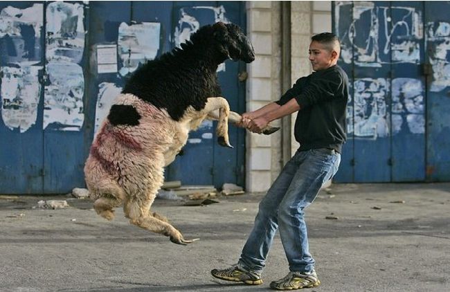 lovi-moment-040309-22