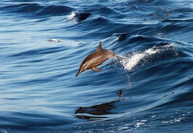 lovi-moment-040309-24