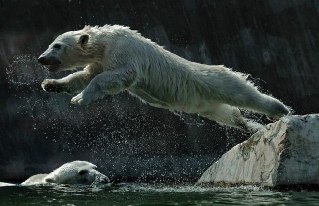 lovi-moment-040309-27